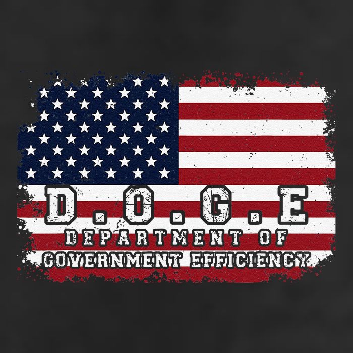 D.O.G.E. Doge Department Patriotic Office Worker Design Premium Pullover Hoodie
