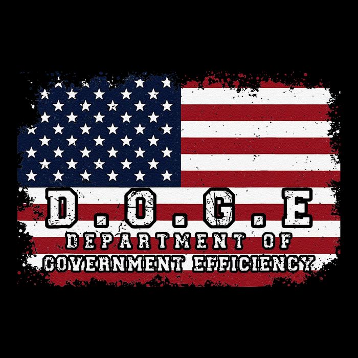 D.O.G.E. Doge Department Patriotic Office Worker Design Cropped Pullover Crew