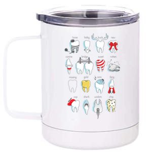 Dental Definitions 12 oz Stainless Steel Tumbler Cup