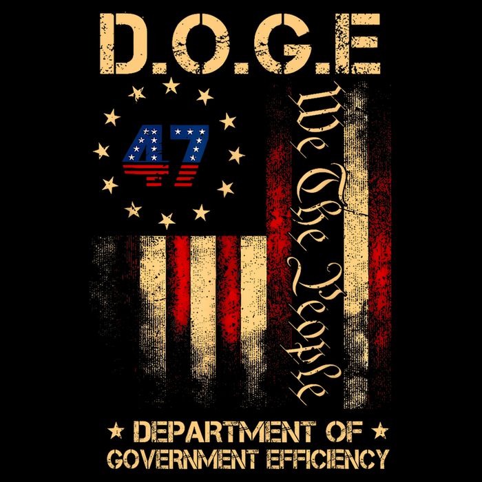 Doge D.O.G.E Department Of Government Efficiency America Flag Design Youth Performance Sprint T-Shirt