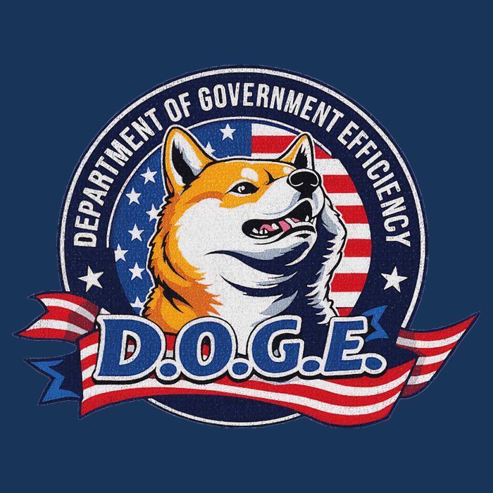 Doge D.O.G.E. Department Of Government Efficiency Infant Baby Jersey Bodysuit