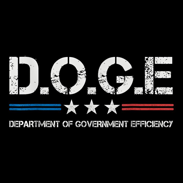 Doge D.O.G.E. Department Of Government Efficiency Button
