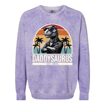 Dino Dad Daddysaurus New Dad 2025 Adult Dinosaur Dad Gift Colorblast Crewneck Sweatshirt