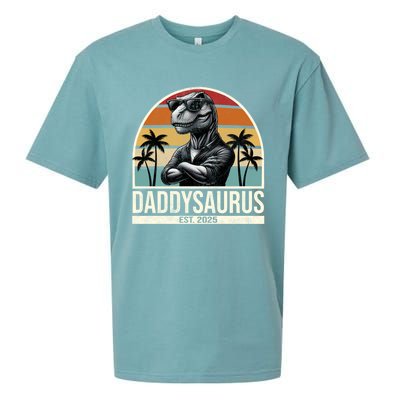 Dino Dad Daddysaurus New Dad 2025 Adult Dinosaur Dad Gift Sueded Cloud Jersey T-Shirt