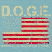 D.O.G.E Doge Department Of Government Efficiency On Back Sueded Cloud Jersey T-Shirt