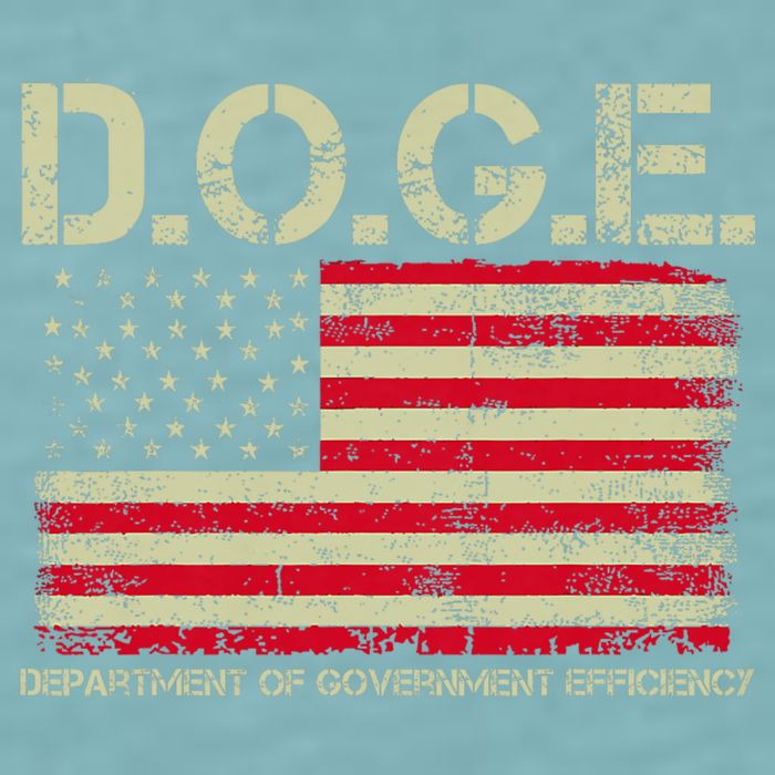 D.O.G.E Doge Department Of Government Efficiency On Back Sueded Cloud Jersey T-Shirt