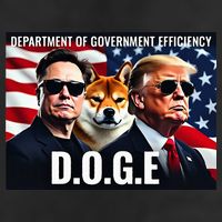 D.O.G.E Doge Department Of Government Efficiency 7 Panel Mesh Trucker Snapback Hat