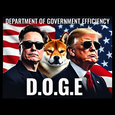 D.O.G.E Doge Department Of Government Efficiency T-Shirt