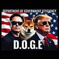 D.O.G.E Doge Department Of Government Efficiency Flat Bill Trucker Hat
