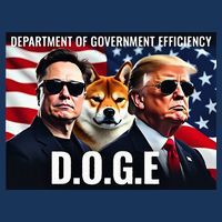 D.O.G.E Doge Department Of Government Efficiency Infant Baby Jersey Bodysuit