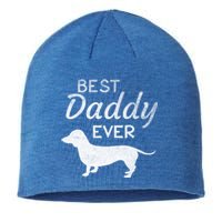 Dachshund Daddy Dad Dog Lover Fathers Day Funny Gift Sustainable Beanie