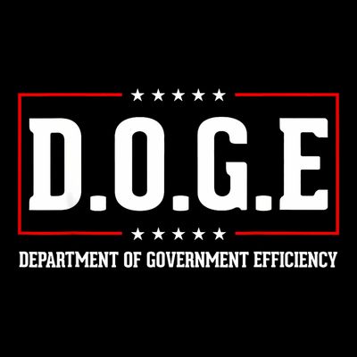 Doge D.O.G.E Department Of Government Efficiency T-Shirt