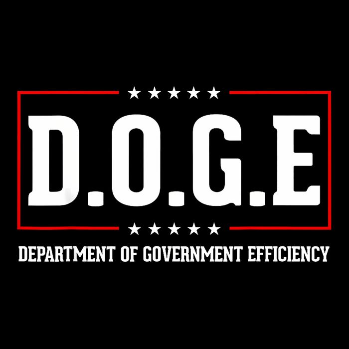 Doge D.O.G.E Department Of Government Efficiency 16 in Basic Backpack