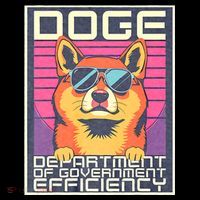 D.O.G.E Doge Department Of Government Efficiency Vintage Womens T-Shirt
