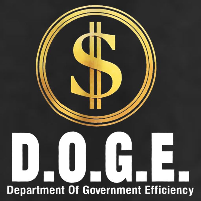 D.O.G.E Doge Department Of Government Efficiency Cool Comfort Performance Bucket Hat