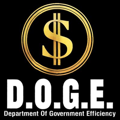 D.O.G.E Doge Department Of Government Efficiency T-Shirt
