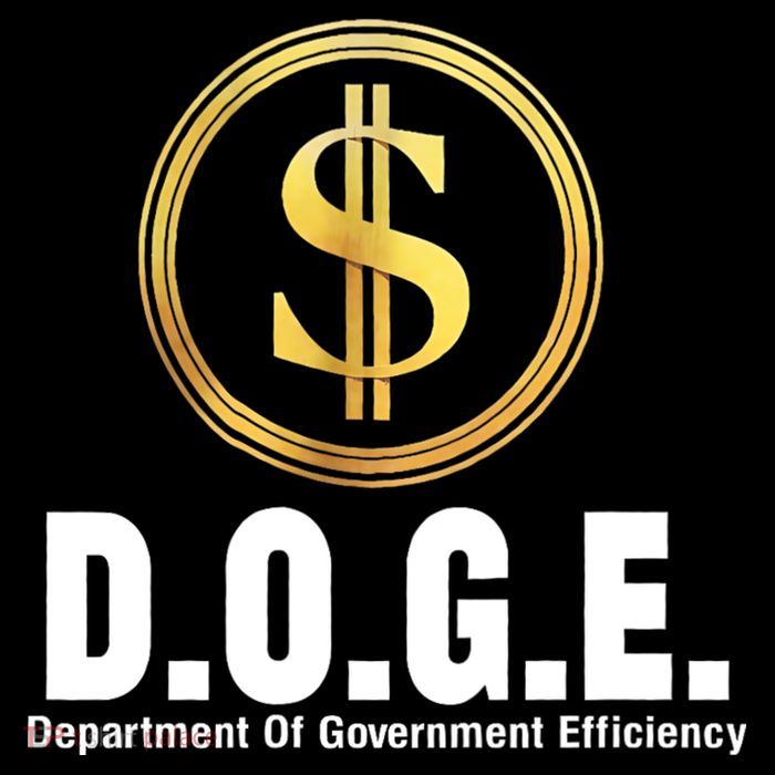 D.O.G.E Doge Department Of Government Efficiency Tall T-Shirt
