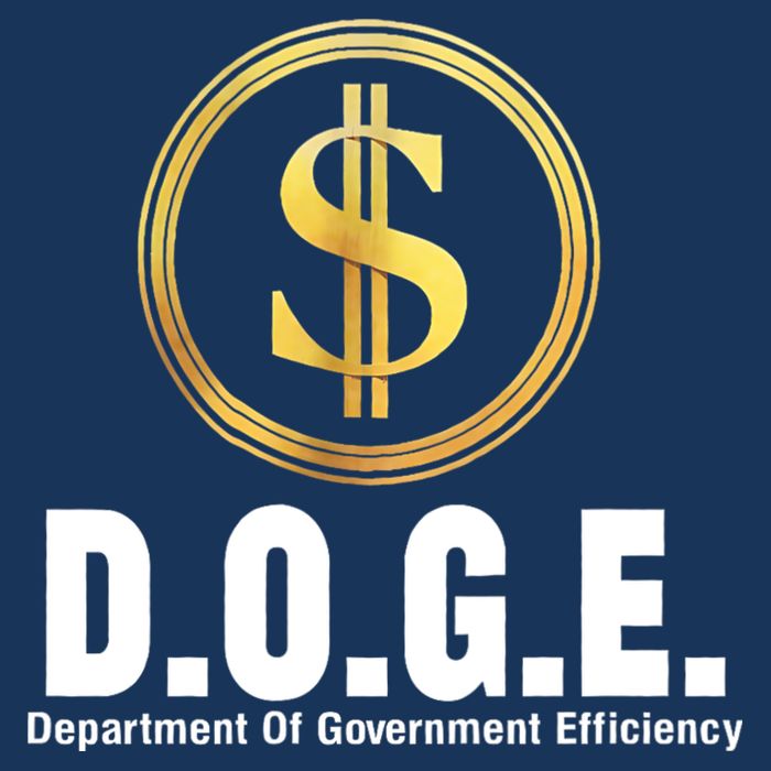 D.O.G.E Doge Department Of Government Efficiency Infant Baby Jersey Bodysuit