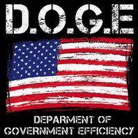 D.O.G.E Doge Department Of Government Efficiency Sustainable Beanie