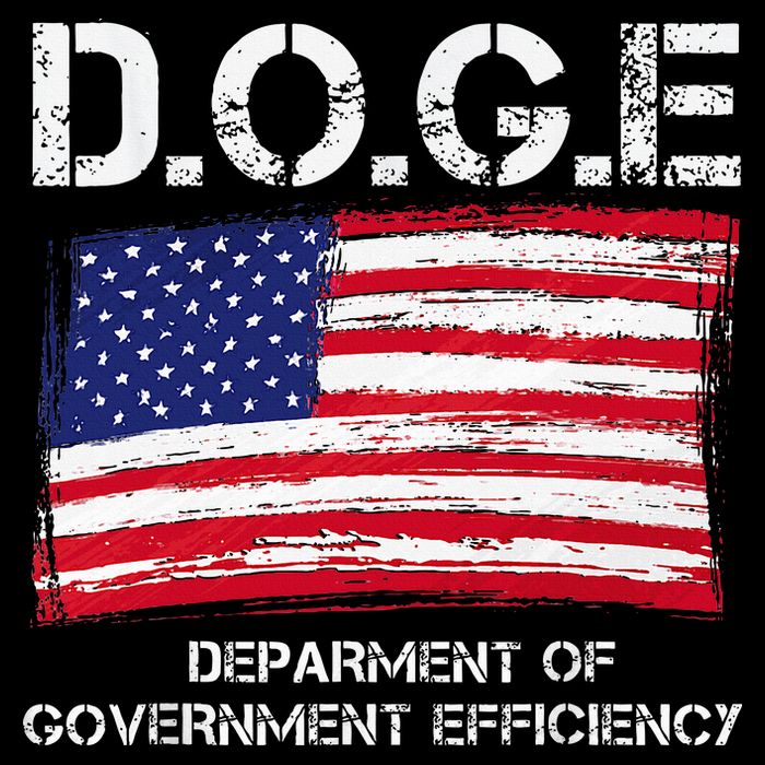 D.O.G.E Doge Department Of Government Efficiency Sustainable Beanie