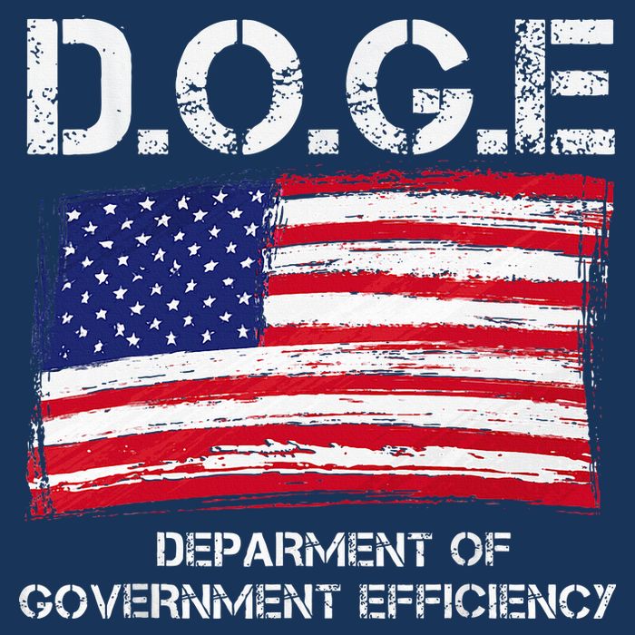 D.O.G.E Doge Department Of Government Efficiency Infant Baby Jersey Bodysuit