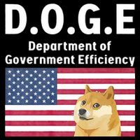 D.O.G.E Doge Department Of Government Efficiency Sustainable Beanie