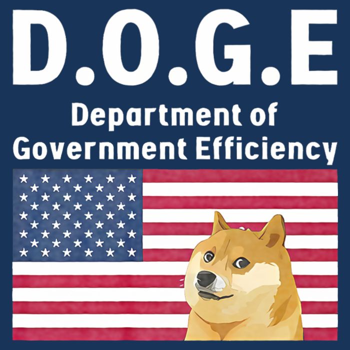 D.O.G.E Doge Department Of Government Efficiency Infant Baby Jersey Bodysuit