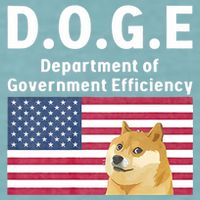 D.O.G.E Doge Department Of Government Efficiency Sueded Cloud Jersey T-Shirt