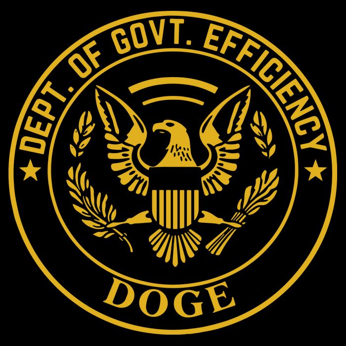 Dixiechick Doge Dept Of Govt Efficiency 7-Panel Snapback Hat