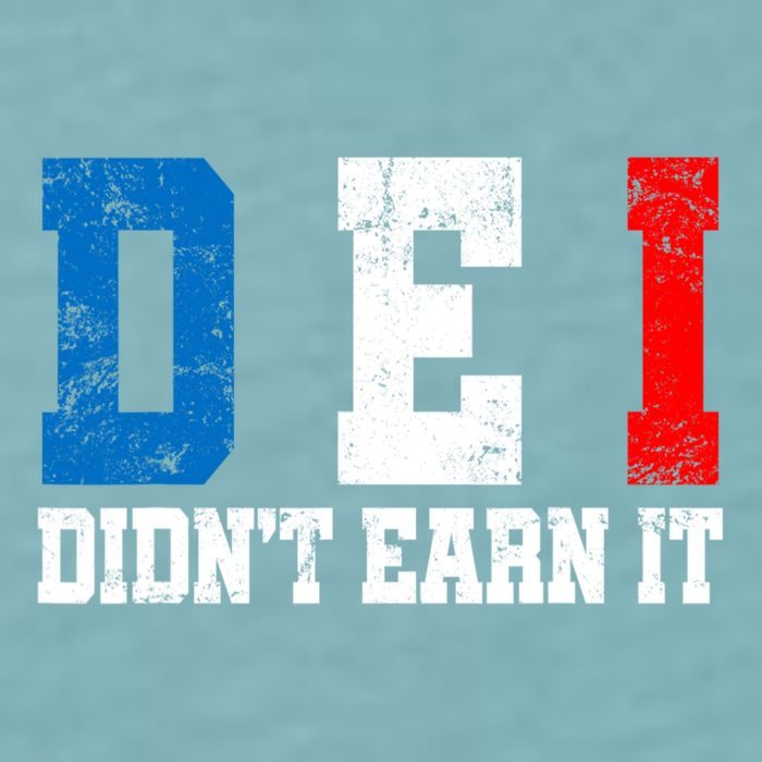 Dei DidnT Earn It Funny Sueded Cloud Jersey T-Shirt