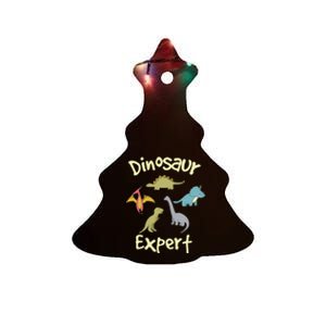 Dinosaur Dinosaur Expert Ceramic Tree Ornament