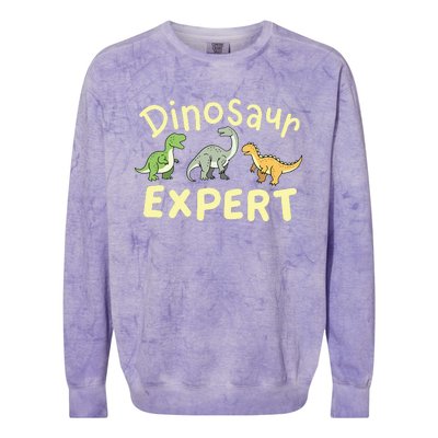 Dinosaur Dinosaurs Expert Paleontologist Colorblast Crewneck Sweatshirt