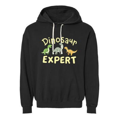 Dinosaur Dinosaurs Expert Paleontologist Garment-Dyed Fleece Hoodie