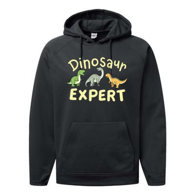 Dinosaur Dinosaurs Expert Paleontologist Performance Fleece Hoodie