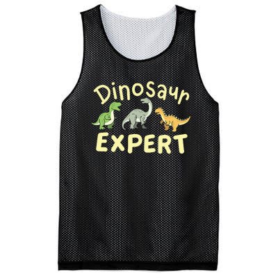 Dinosaur Dinosaurs Expert Paleontologist Mesh Reversible Basketball Jersey Tank