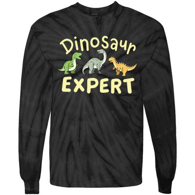 Dinosaur Dinosaurs Expert Paleontologist Tie-Dye Long Sleeve Shirt