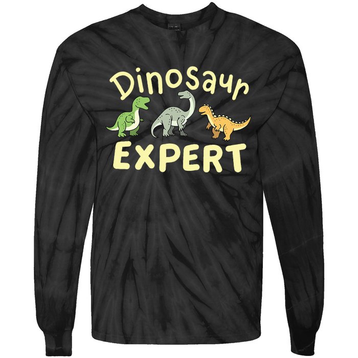 Dinosaur Dinosaurs Expert Paleontologist Tie-Dye Long Sleeve Shirt