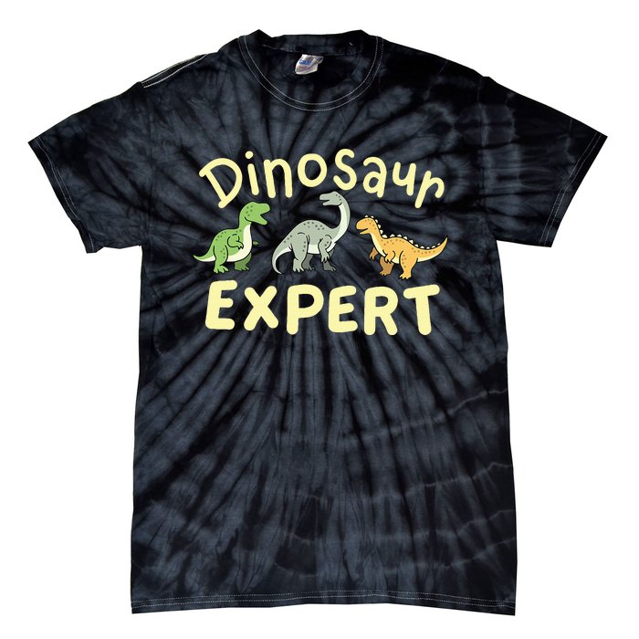 Dinosaur Dinosaurs Expert Paleontologist Tie-Dye T-Shirt