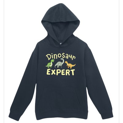 Dinosaur Dinosaurs Expert Paleontologist Urban Pullover Hoodie