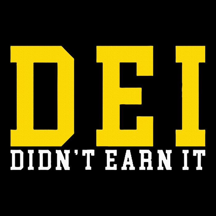 Dei DidnT Earn It Sustainable Bucket Hat