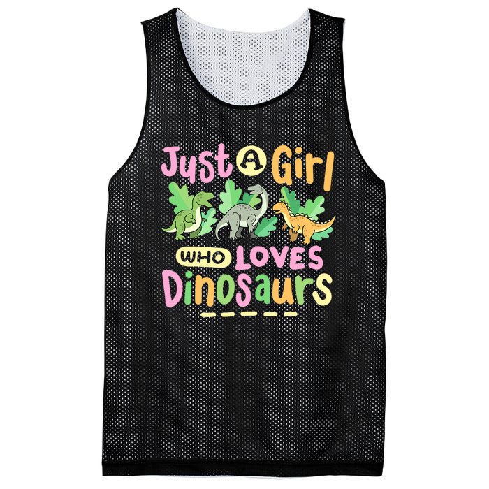 Dinosaur Dinosaurs Expert Just A Girl Who Loves Dinosaurs Mesh Reversible Basketball Jersey Tank