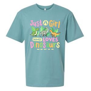 Dinosaur Dinosaurs Expert Just A Girl Who Loves Dinosaurs Sueded Cloud Jersey T-Shirt