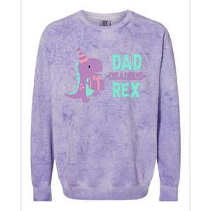 Dad Dinosaur Family Matching Birthday Girl Party Daughter Colorblast Crewneck Sweatshirt