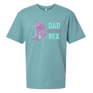 Dad Dinosaur Family Matching Birthday Girl Party Daughter Sueded Cloud Jersey T-Shirt