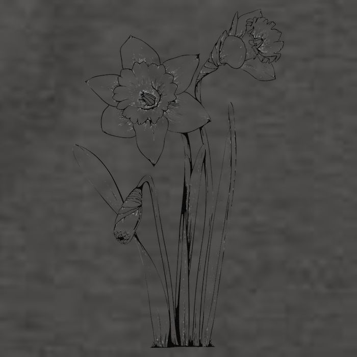 Daffodil Daffodils Flowers Floral Spring Easter Vector Backpack