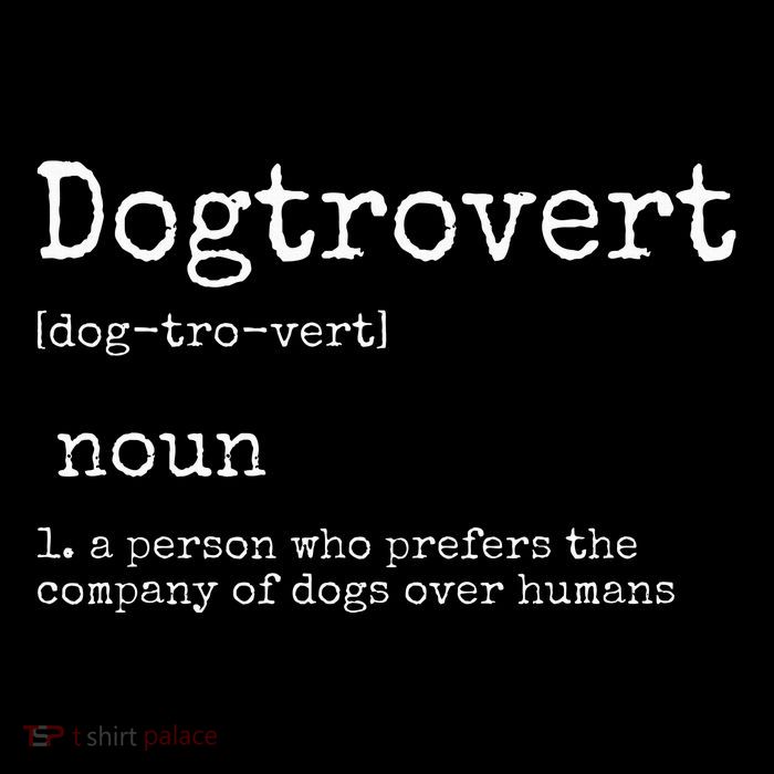 Dogtrovert Definition Funny Dog S Tall T-Shirt