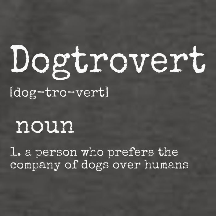 Dogtrovert Definition Funny Dog S Vector Backpack