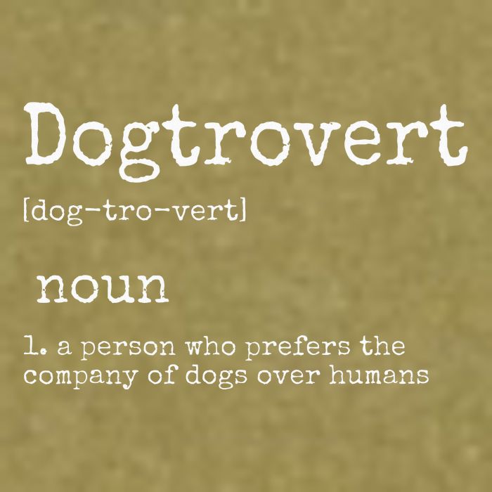 Dogtrovert Definition Funny Dog S Garment-Dyed Women's Muscle Tee