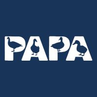 Duck Dad Funny Papa Duck Father Day Gift 16 in Basic Backpack