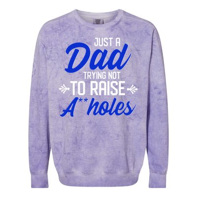 Dear Dad Funny Father Graphic Fatherhood Papa Gift Colorblast Crewneck Sweatshirt